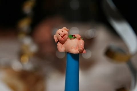 pig.jpg