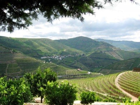Douro River Valley - Uniworld douro