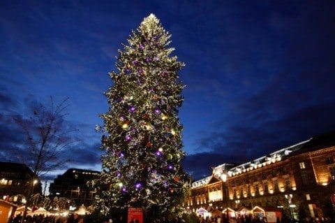 Strasbourg - Christmas Tree
