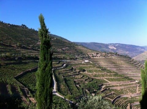 AmaVida will sail the magnificent Douro River Valley. Photo © 2012 Peter Saunders
