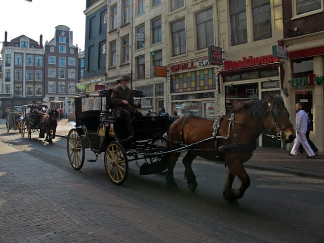 Amsterdam - Horse - Carriage