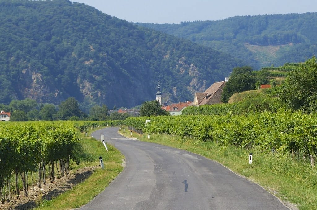 Pedaling Through Vineyards