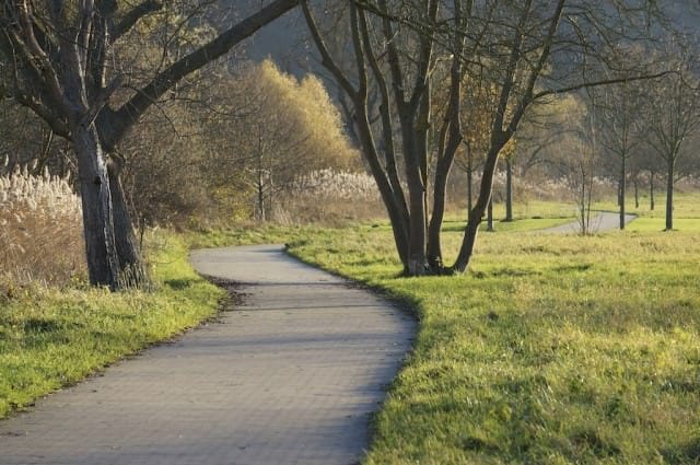Pedaling along the Moselle. © 2013 Ralph Grizzle