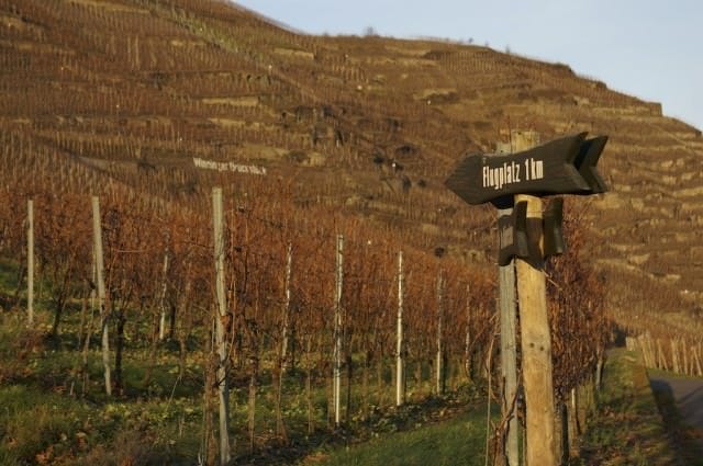 Vineyards on the Moselle. © 2013 Ralph Grizzle
