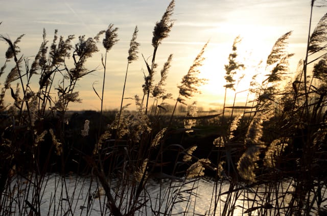 Our late afternoon in Kinderdijk was made all the more spectacular by the sun which, just shy of 4 p.m., was setting. Photo © 2013 Aaron Saunders