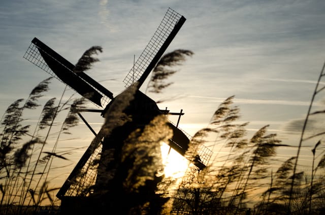 Touring the windmills of Kinderdijk, Netherlands as our journey along the Rhine aboard Viking Baldur wraps up. Photo © 2013 Aaron Saunders