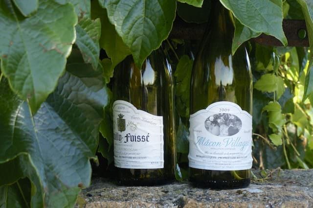 Monday, we cycled through vineyards where renowned French wines are made. © 2013 Ralph Grizzle