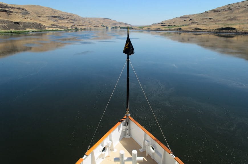 The View From The Bow of the S.S. Legacy on the Columbia River. The landscape changes from Pacific rainforest to arid desert almost with the snap of a finger.  Photo ©  2015 Aaron Saunders