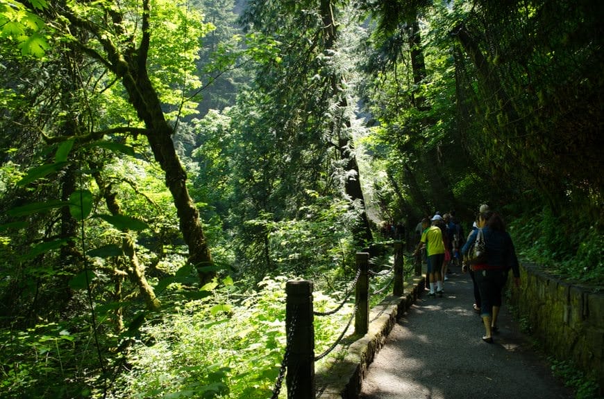 Hiking up to the falls bridge...Photo © 2015 Aaron Saunders