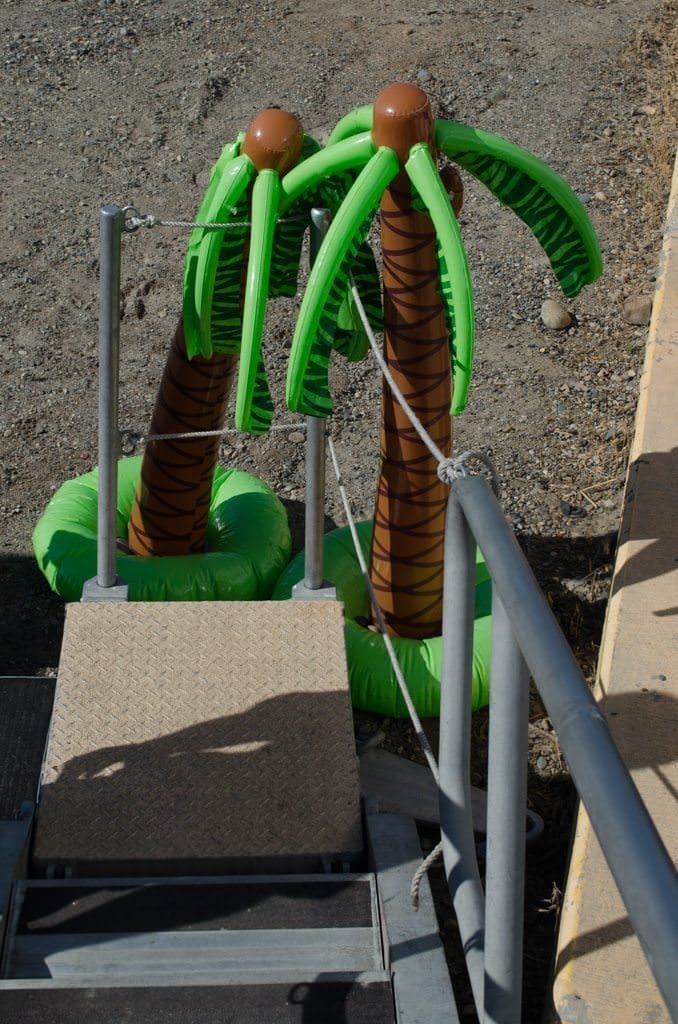 Fortunately, Un-Cruise has a great sense of humor. They installed some inflatable palm trees and pink flamingos to liven up the dock space! Photo © 2015 Aaron Saunders