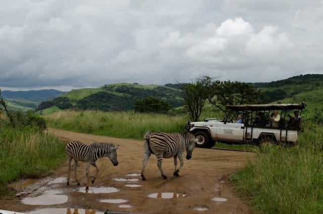 You can now river cruise along Africa's Chobe River - and combine it with a land-tour and safari.  Photo © 2013 Aaron Saunders