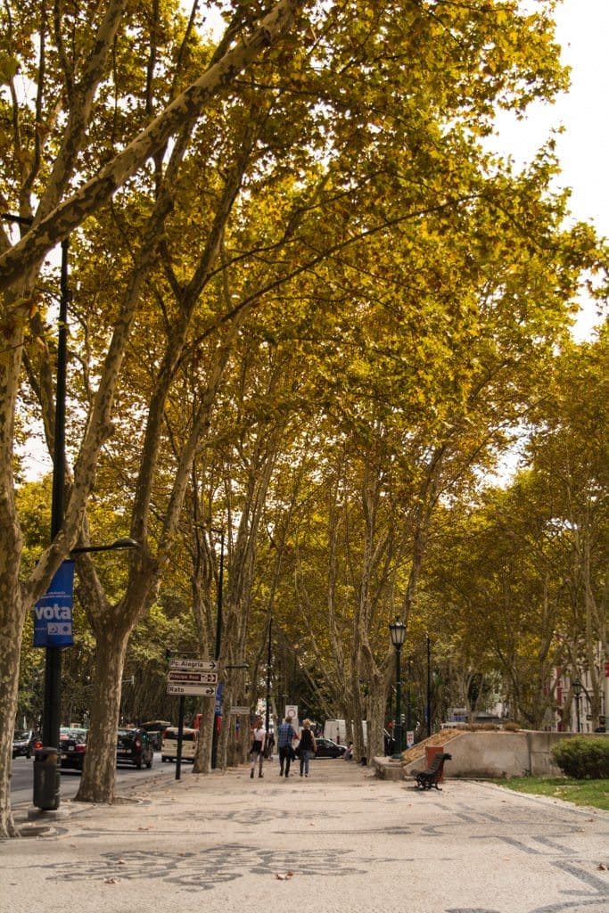 Strolling Lisbon this afternoon. What a beautiful city - especially in fall! Photo © 2015 Aaron Saunders