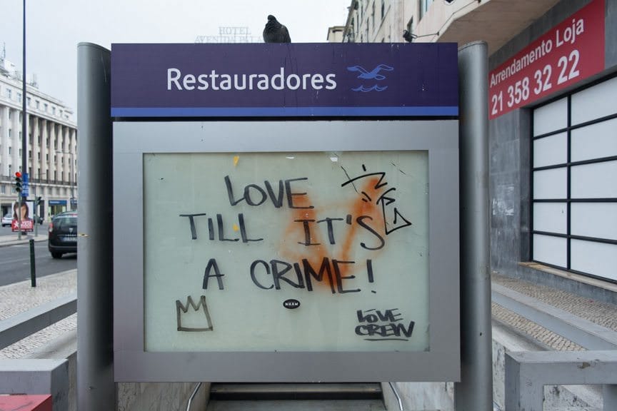I couldn't agree more. Photo © 2015 Aaron Saunders