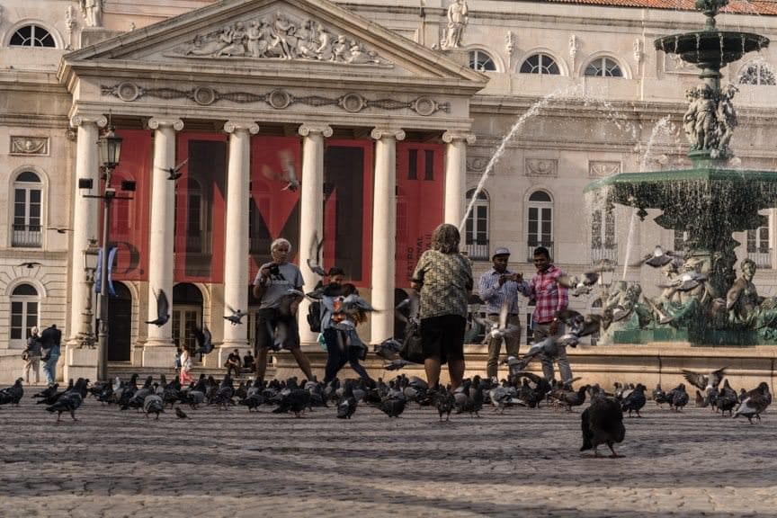 Feeding the Pigeons. Photo © 2015 Aaron Saunders