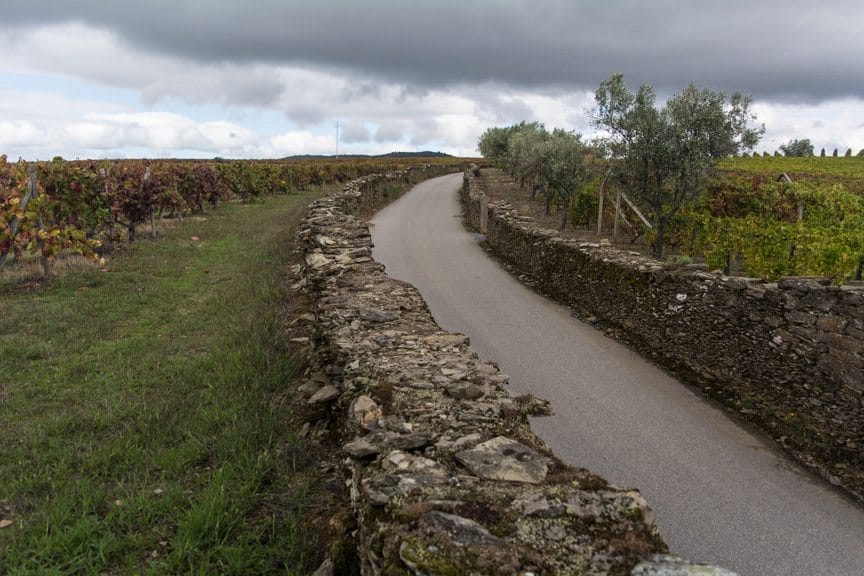 The Portuguese Countryside. Photo © 2015 Aaron Saunders