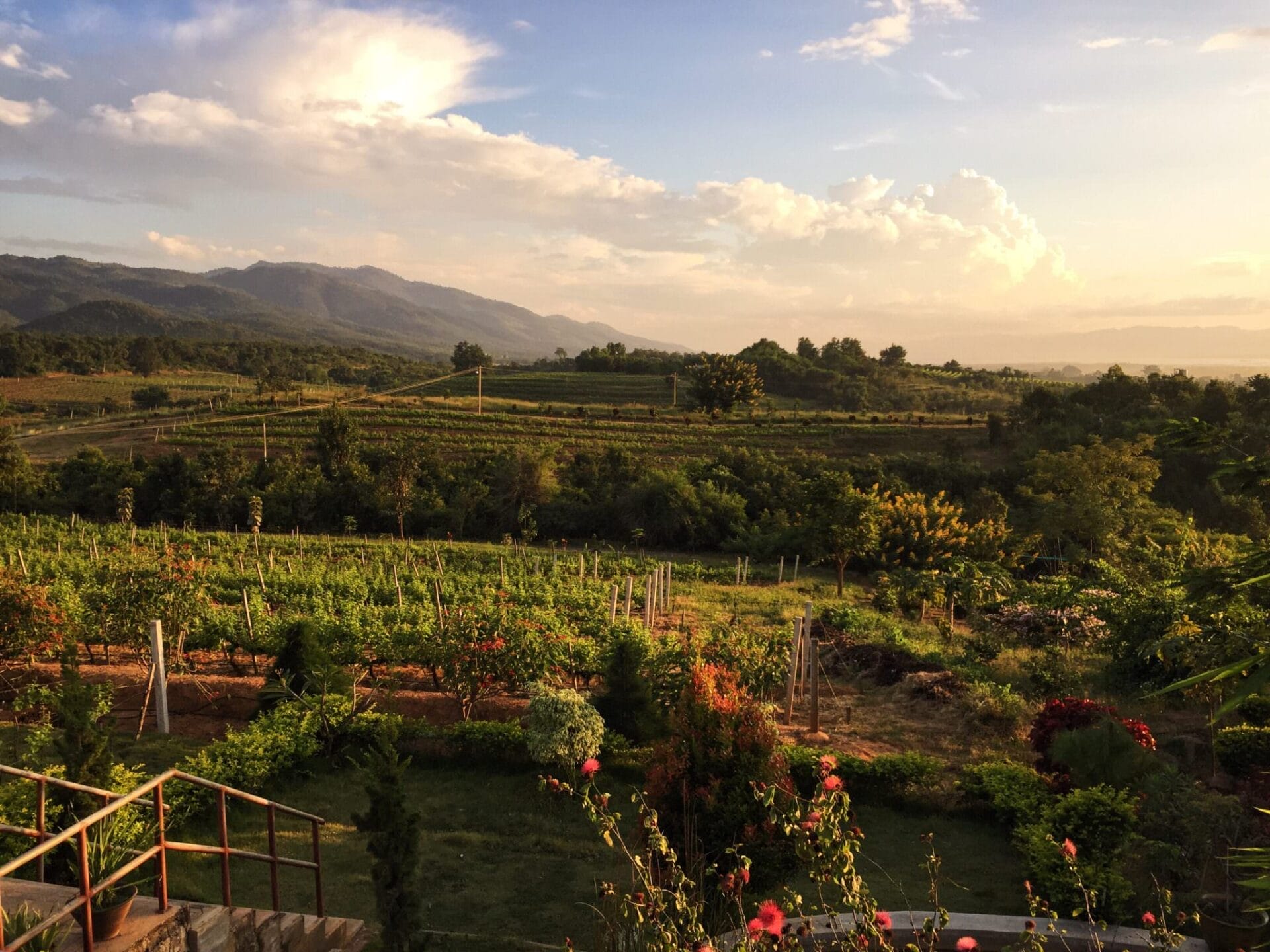 A winery in the hills of Myanmar to rival anything I've seen in Sonoma, California. Who knew? (c) 2015 Gail Jessen