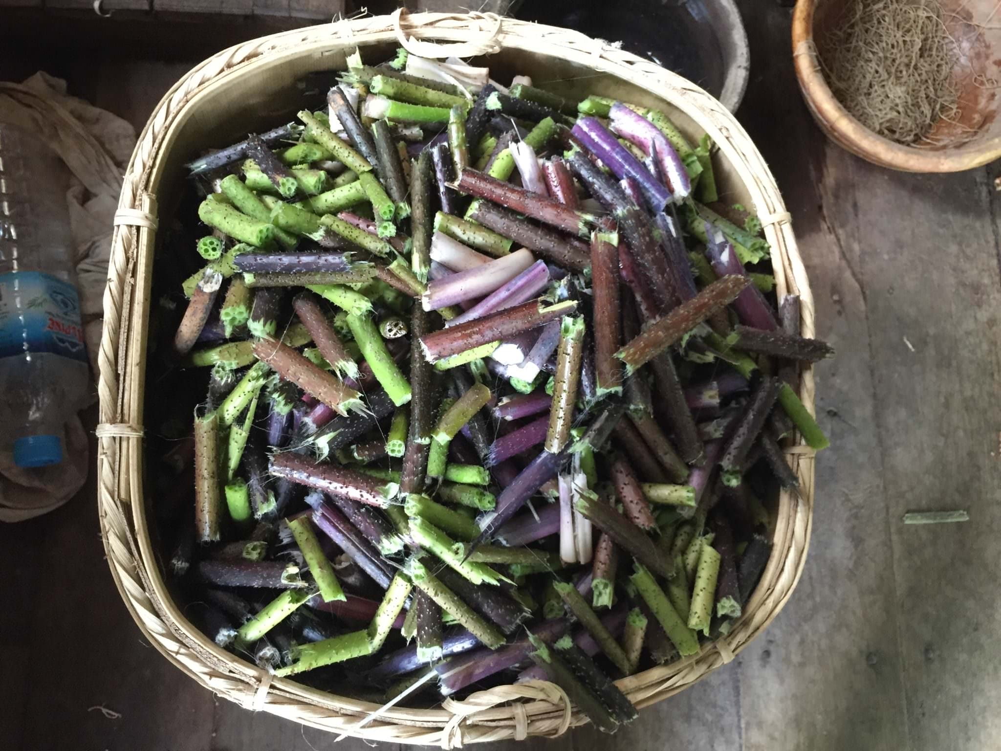 Discarded lotus stems. © 2015 Gail Jessen