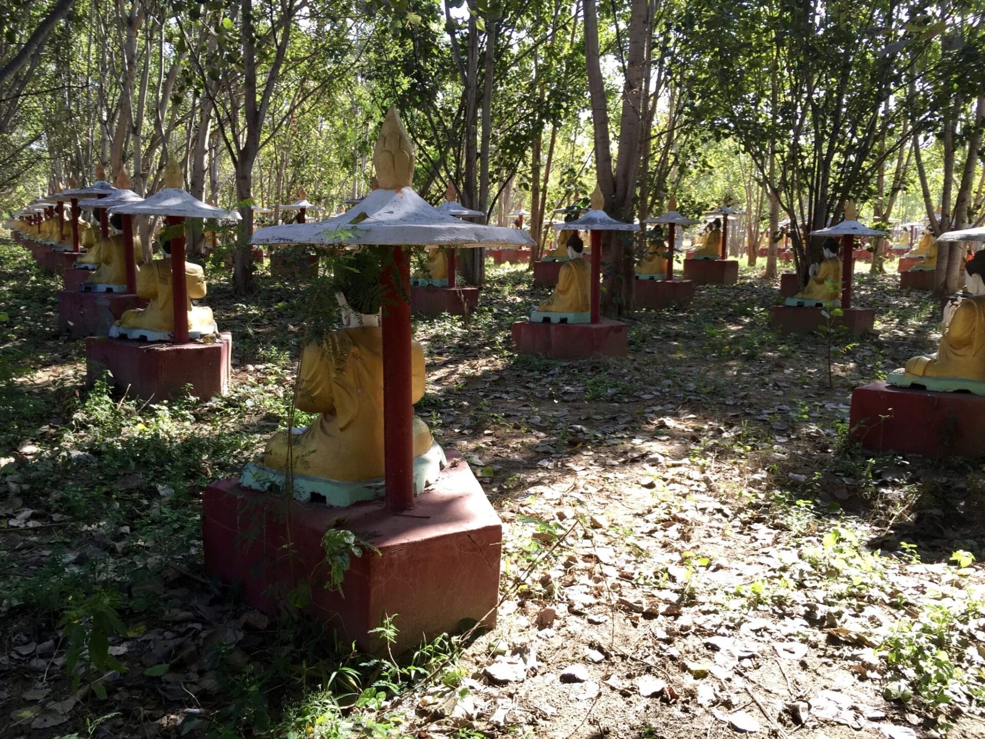 Viking Mandalay: 500,000 Buddhas In Monywa, Myanmar 20 Row upon row upon row of Buddha statues. © 2015 Gail Jessen
