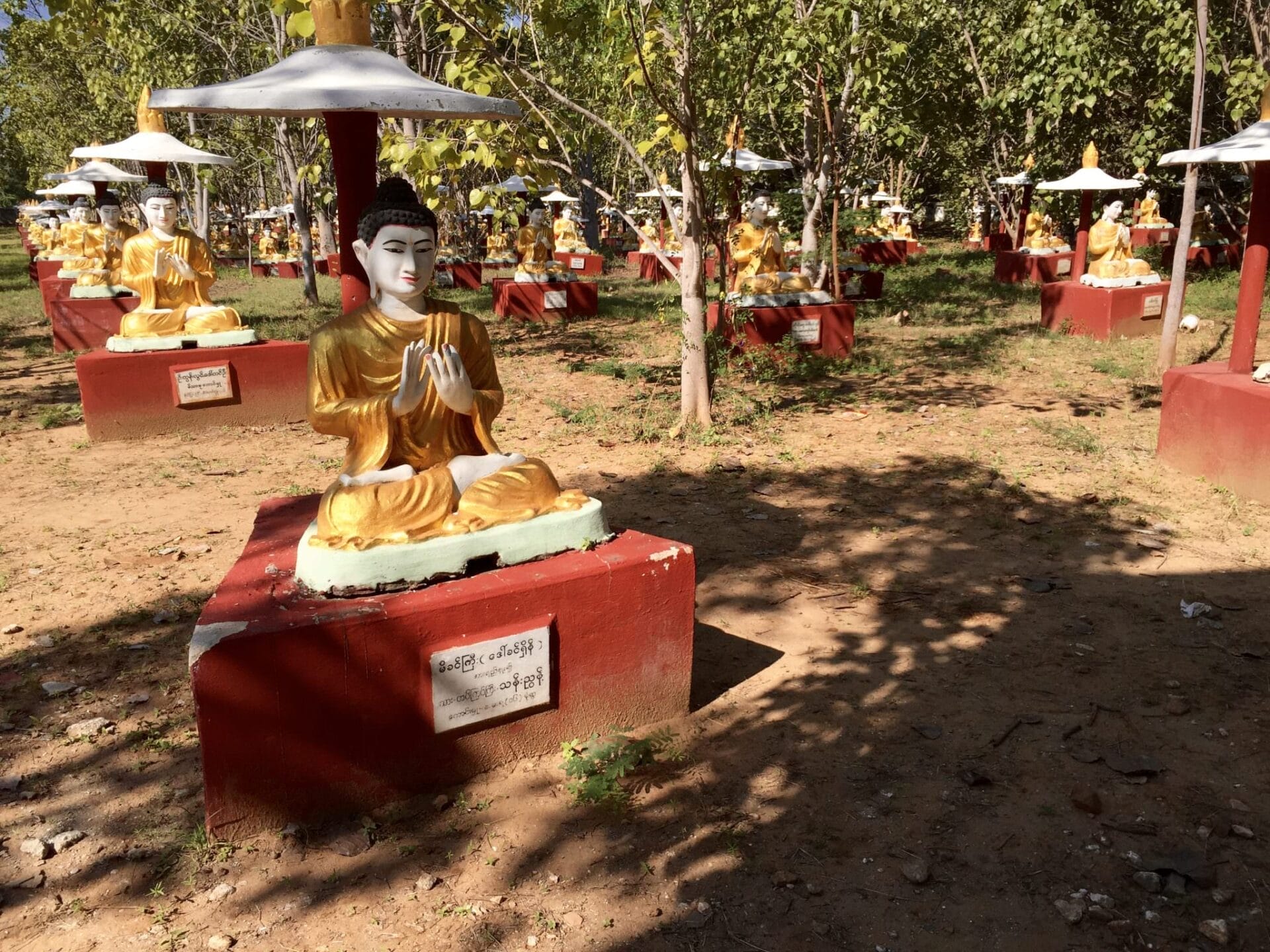 More than 10,000 Buddhas stand guard over the sacred banyan trees. © 2015 Gail Jessen