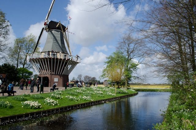 More stunning views from Keukenhof; an essential stop on any Tulip Time river cruise. Photo © 2014 Aaron Saunders