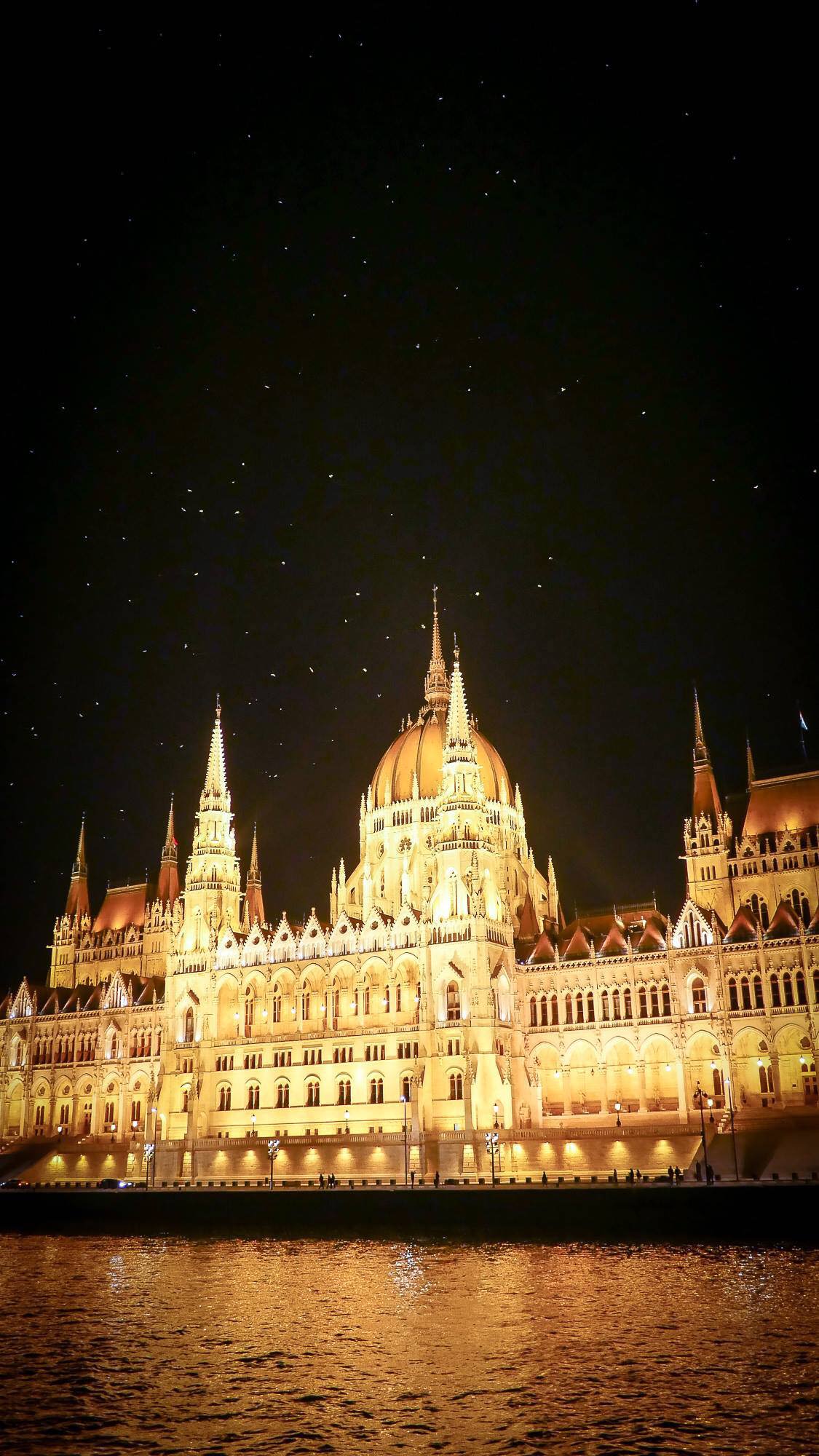 Budapest Parliament birds