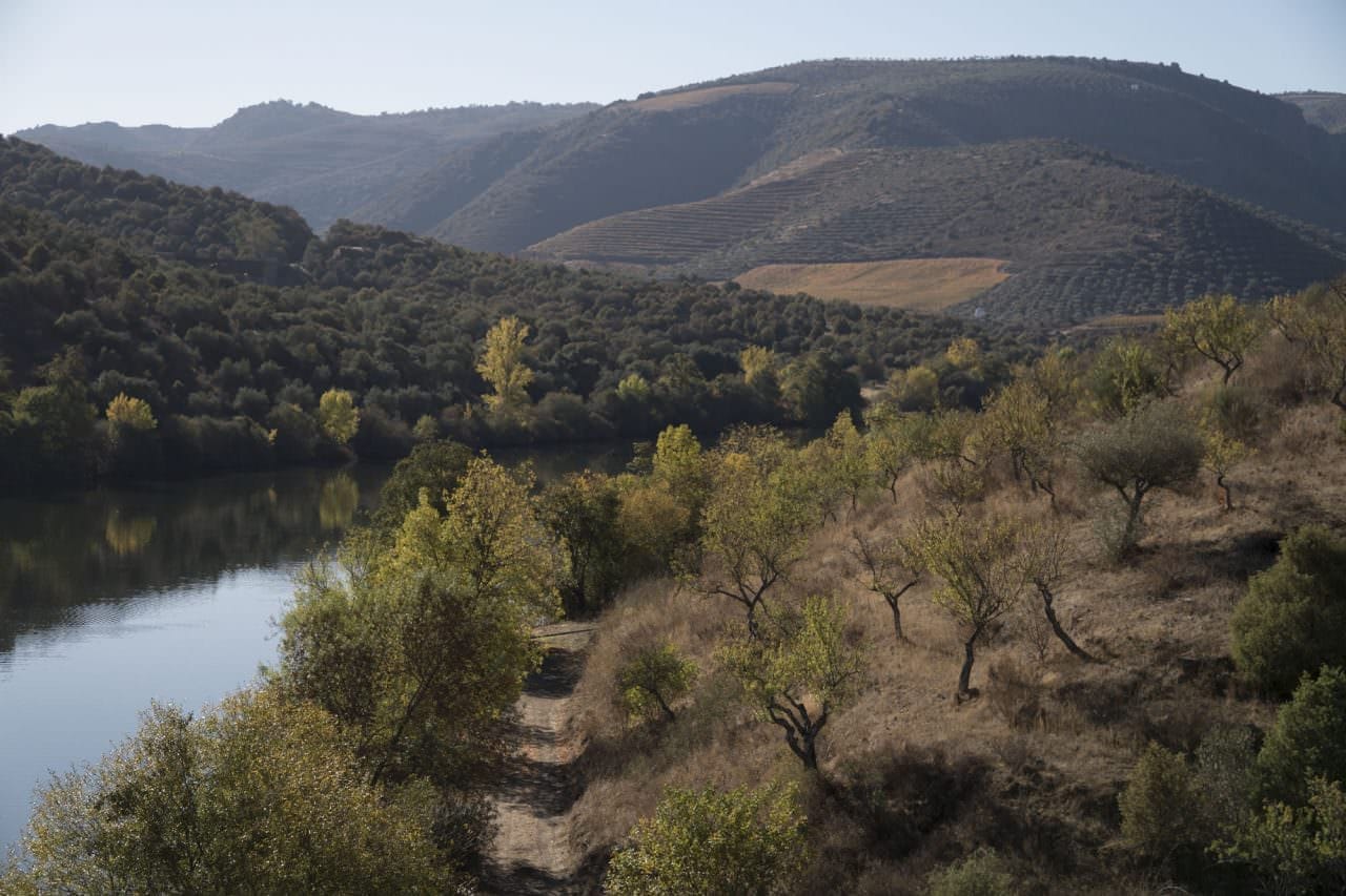 Douro River banks