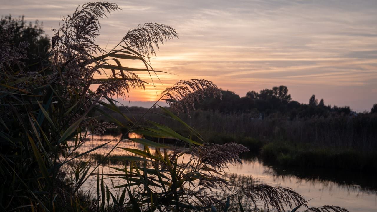 sunset camargue