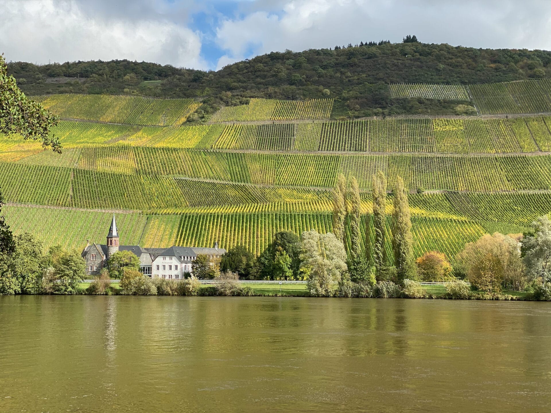 Moselle River Cruise Guide: What Does It Cost?