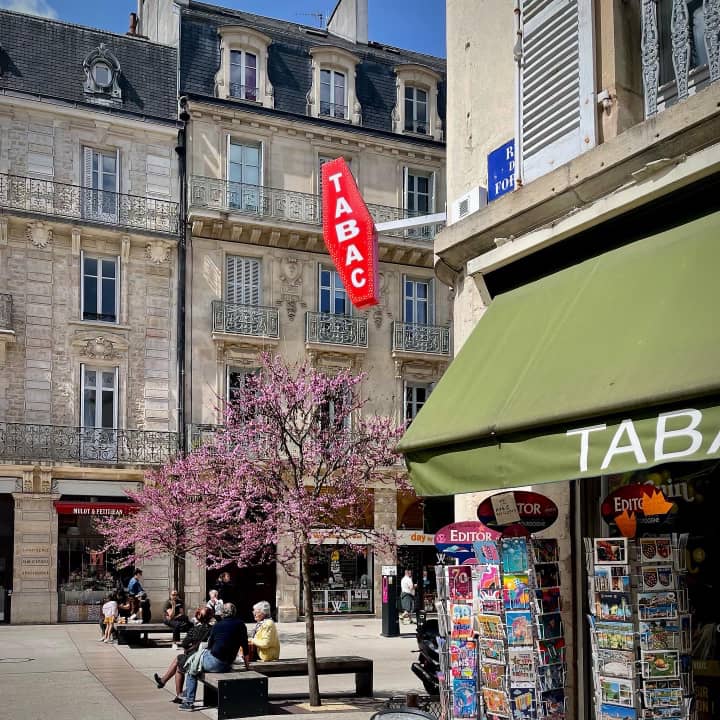 31C925DA F5B2 44CE 8D7F FDDEC7078D35