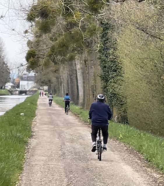 FullSizeRender compressed 4